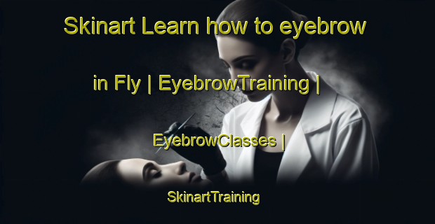 Skinart Learn how to eyebrow in Fly | EyebrowTraining | EyebrowClasses | SkinartTraining-United States